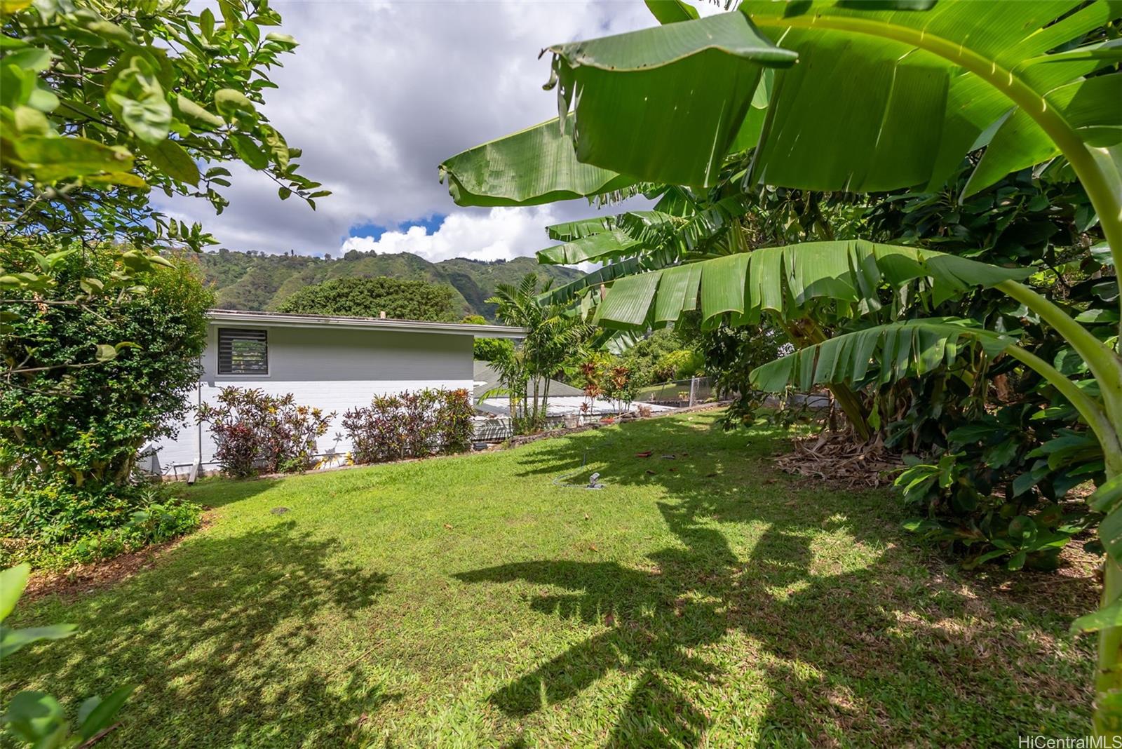 3541  Woodlawn Drive Manoa-woodlawn, Honolulu home - photo 16 of 25