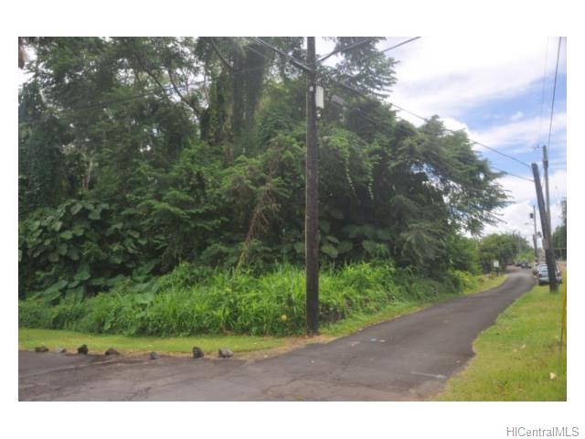 36 Pukihae St  Hilo, Hi vacant land for sale - photo 16 of 25