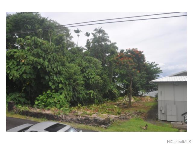 36 Pukihae St  Hilo, Hi vacant land for sale - photo 20 of 25