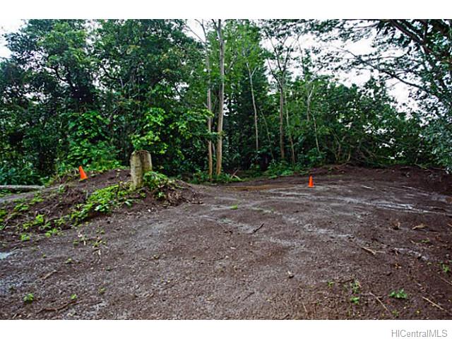 3640 Kalihi St  Honolulu, Hi vacant land for sale - photo 14 of 20