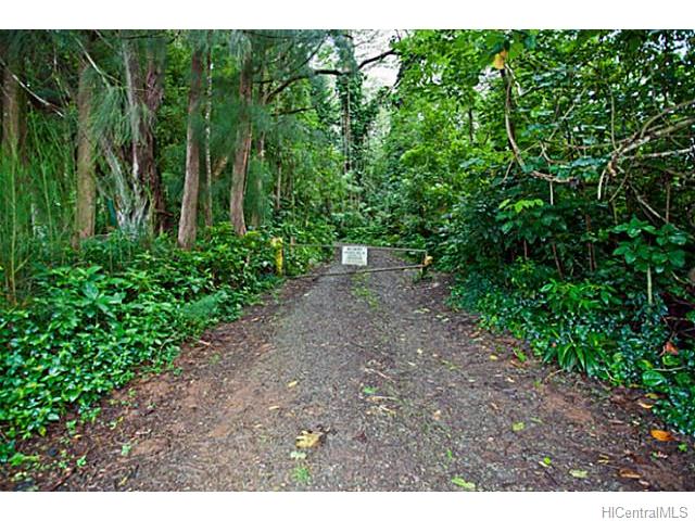 3640 Kalihi St  Honolulu, Hi vacant land for sale - photo 4 of 20