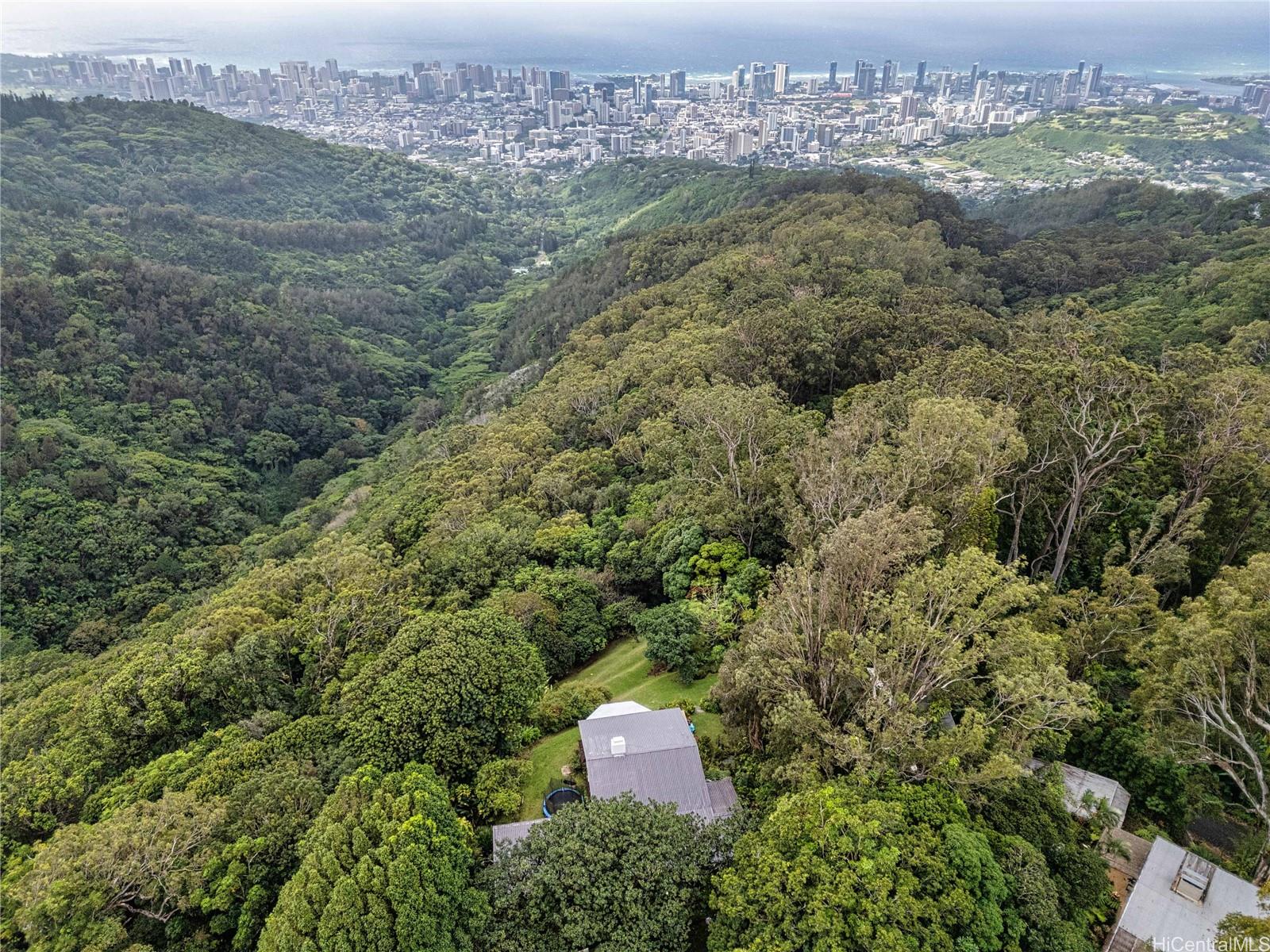 3665 Tantalus Dr Honolulu - Rental - photo 3 of 19