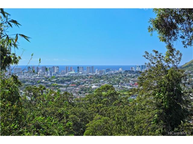 3692, 3694, 3695, 3698  Woodlawn Terrace Pl Manoa-woodlawn, Honolulu home - photo 20 of 22