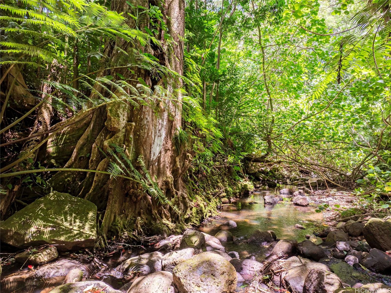 3717 Manoa Road Honolulu Oahu commercial real estate photo23 of 25