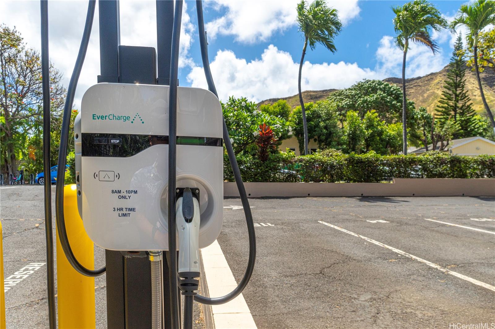 Diamond Head Sands condo # 205, Honolulu, Hawaii - photo 23 of 25