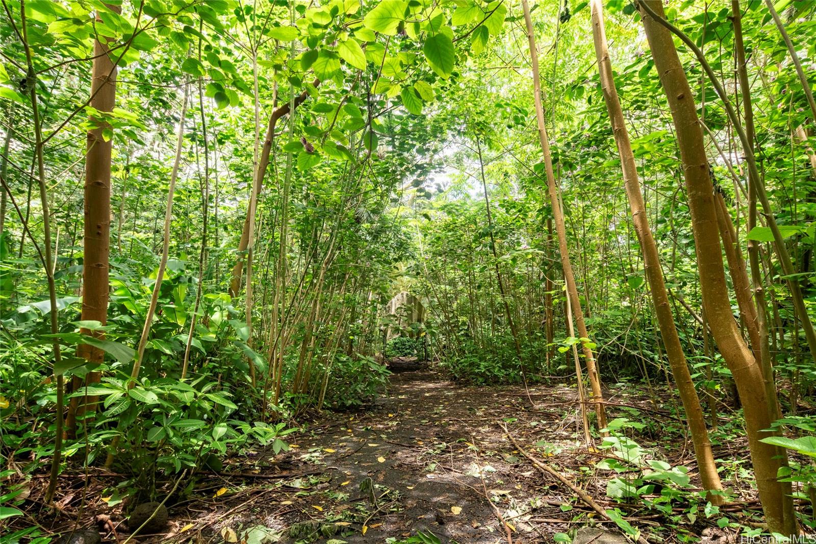 3737 Manoa Road  Honolulu, Hi vacant land for sale - photo 13 of 25