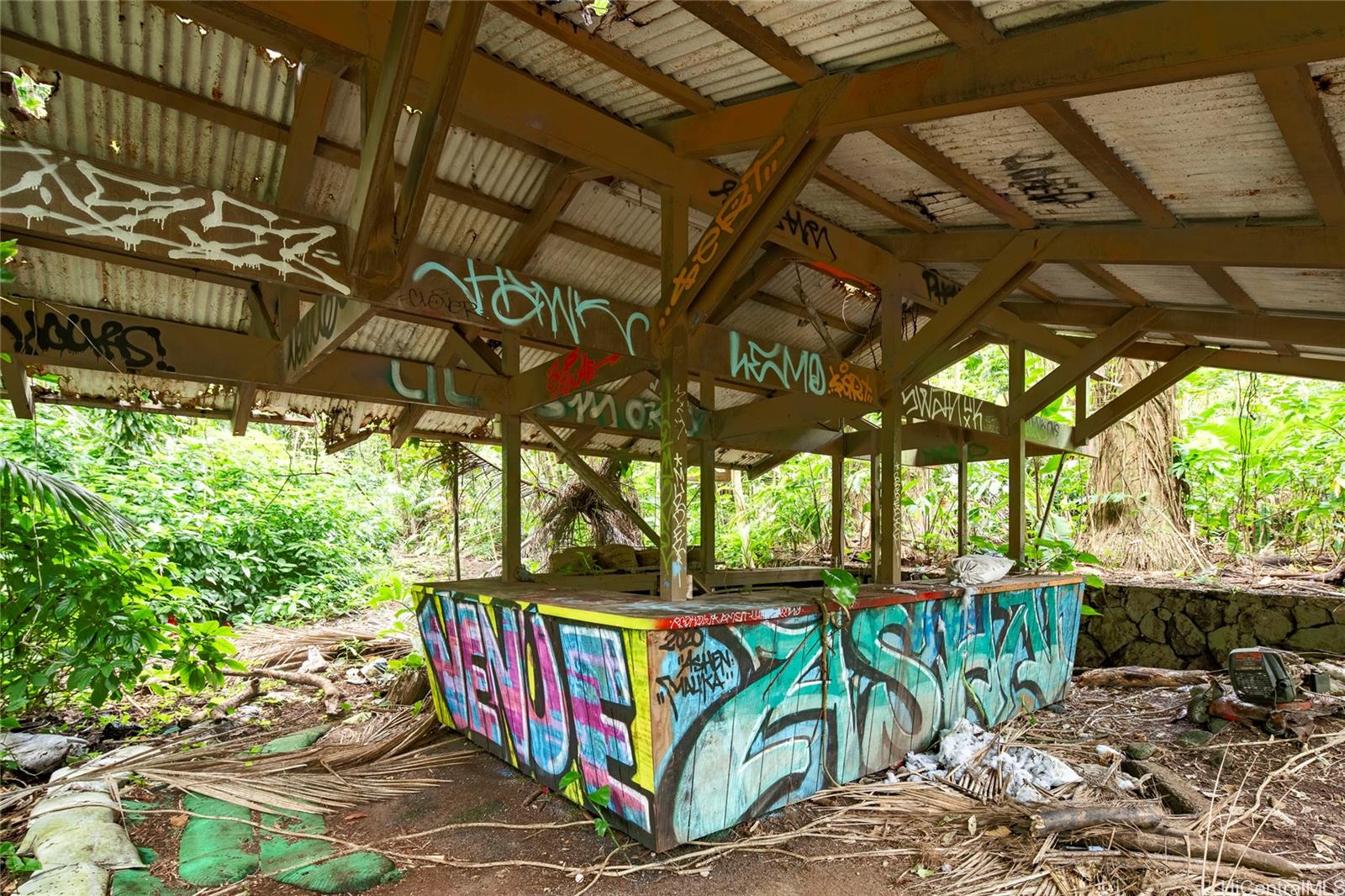 3737 Manoa Road  Honolulu, Hi vacant land for sale - photo 14 of 25