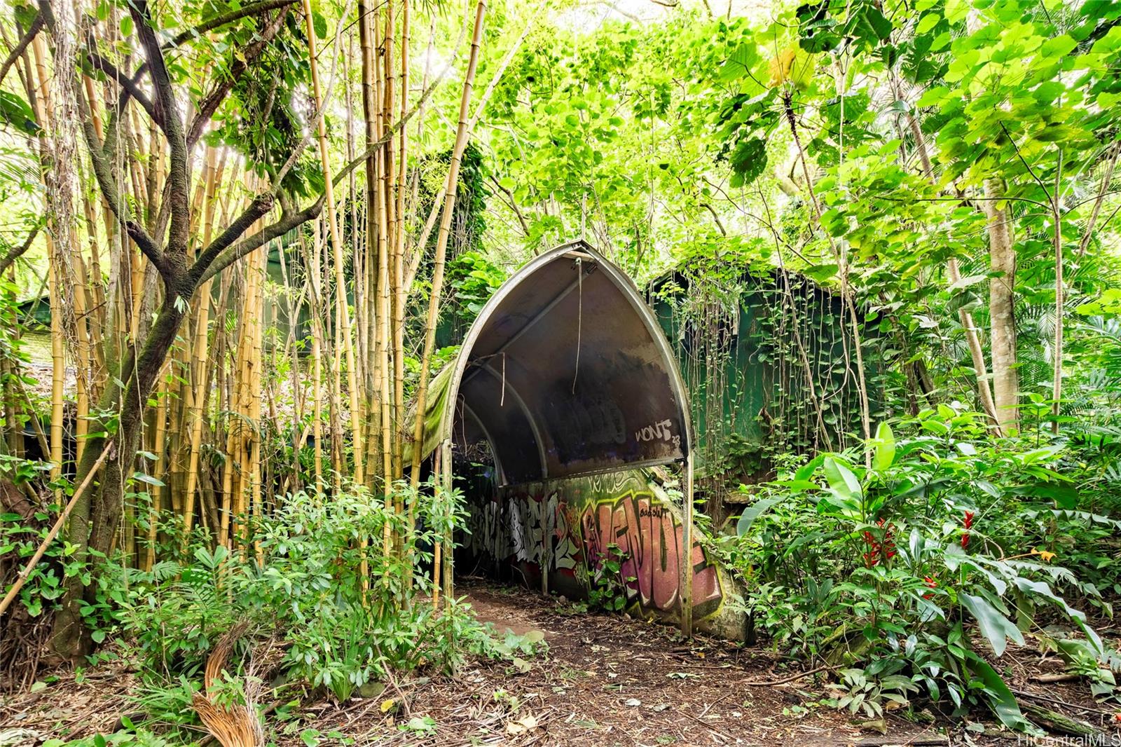 3737 Manoa Road  Honolulu, Hi vacant land for sale - photo 15 of 25