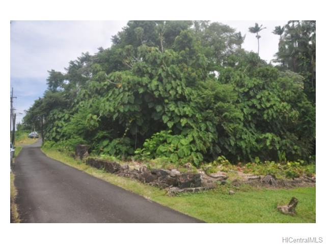 38 Pukihae St  Hilo, Hi vacant land for sale - photo 19 of 24