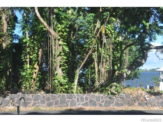 38 Pukihae St  Hilo, Hi vacant land for sale - photo 22 of 24
