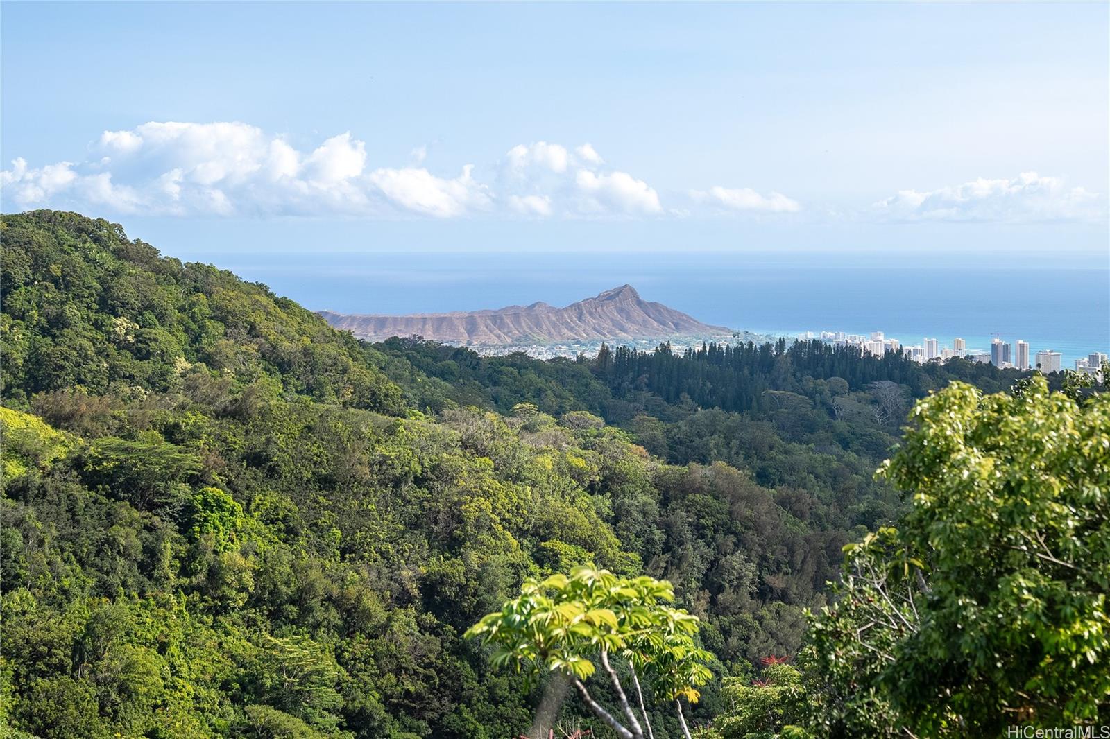 3811  Tantalus Drive Tantalus, Honolulu home - photo 19 of 25