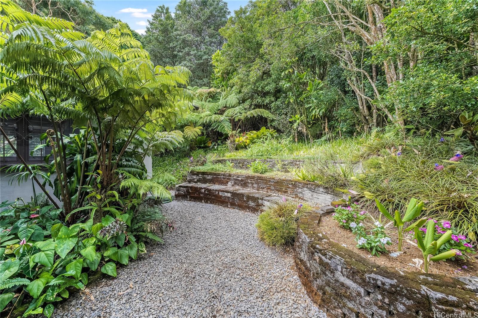 3811  Tantalus Drive Tantalus, Honolulu home - photo 21 of 25