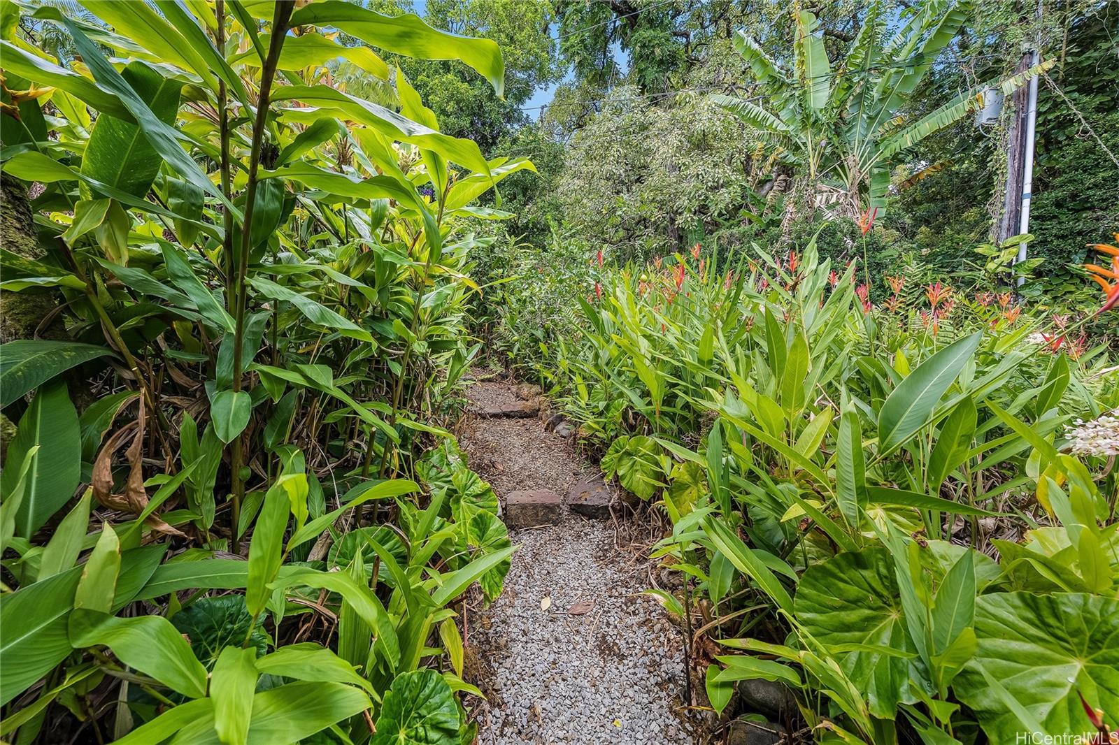 3811  Tantalus Drive Tantalus, Honolulu home - photo 22 of 25