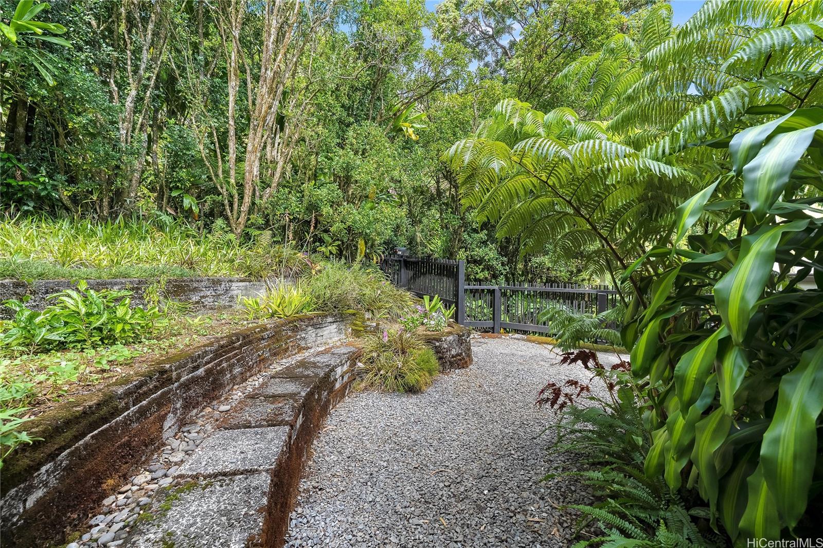 3811  Tantalus Drive Tantalus, Honolulu home - photo 23 of 25