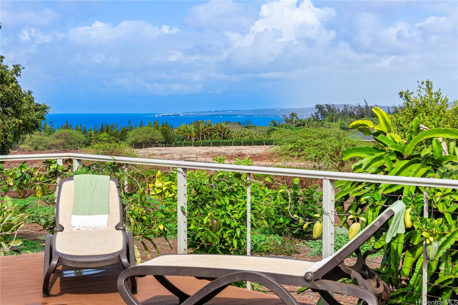 3820  Kalua Koi Rd Molokai West, Molokai home - photo 16 of 25