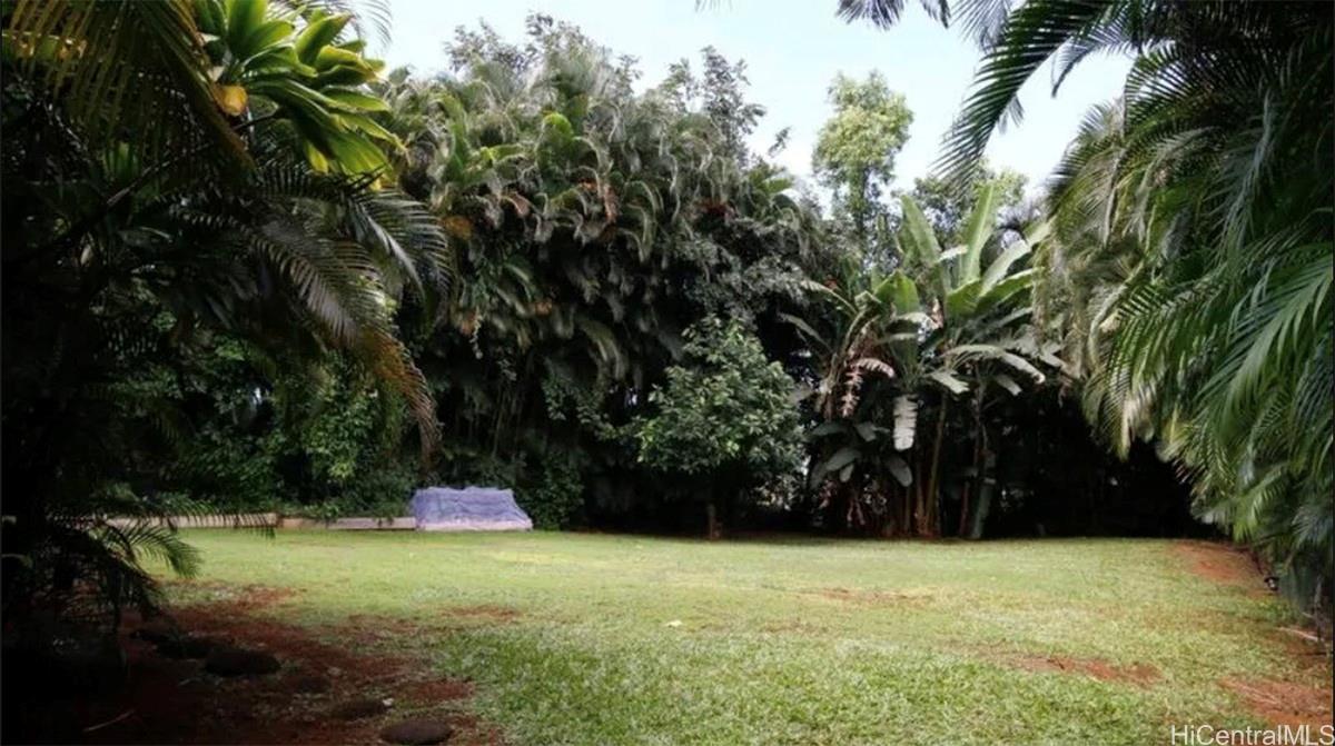 3821  Haulani Place Ahualoa, Hamakua home - photo 19 of 23