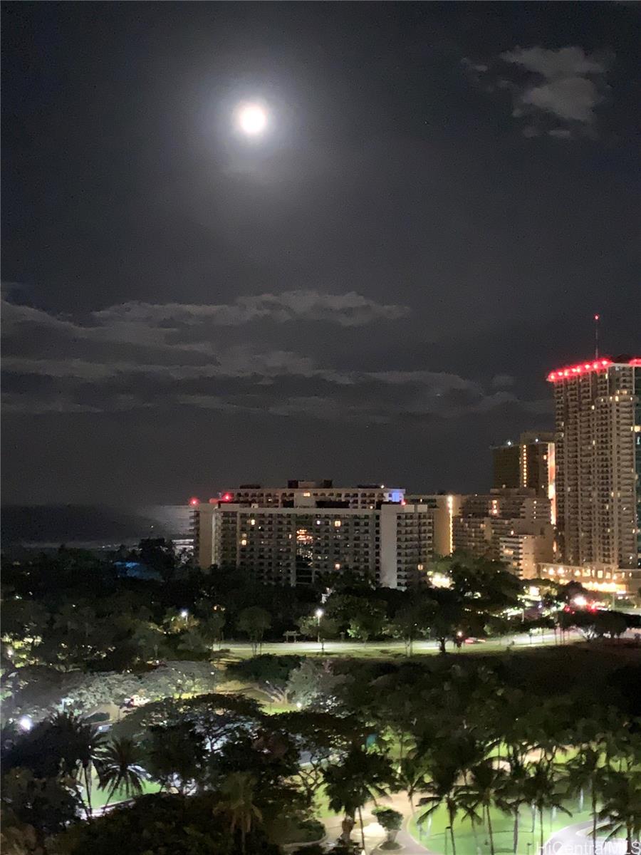 The Ritz-Carlton Residences condo # 1601, Honolulu, Hawaii - photo 16 of 17