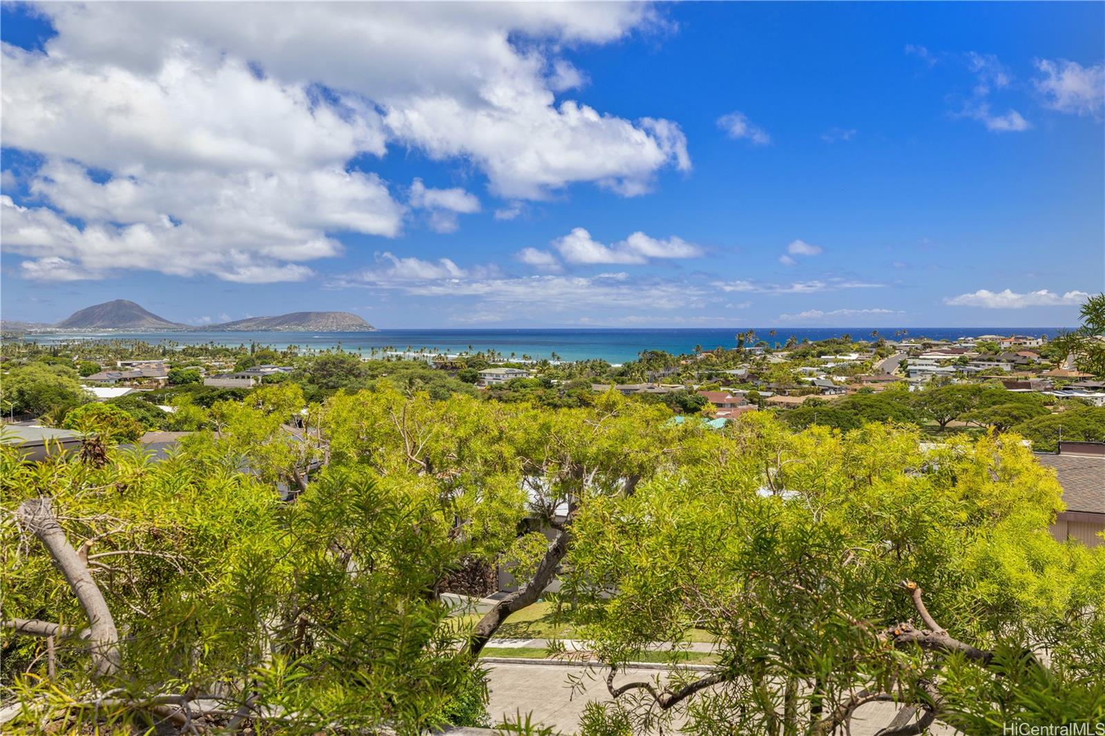 3880  Pokapahu Place Diamond Head, Diamond Head home - photo 3 of 25