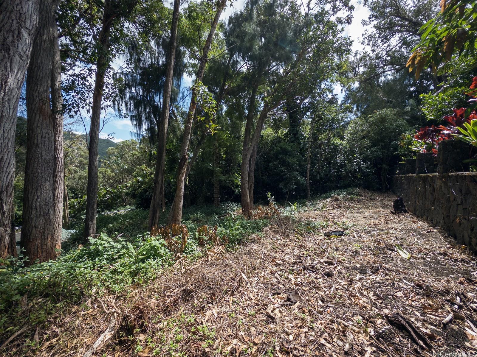 3890 Waokanaka St Lot 1 Honolulu, Hi vacant land for sale - photo 8 of 14