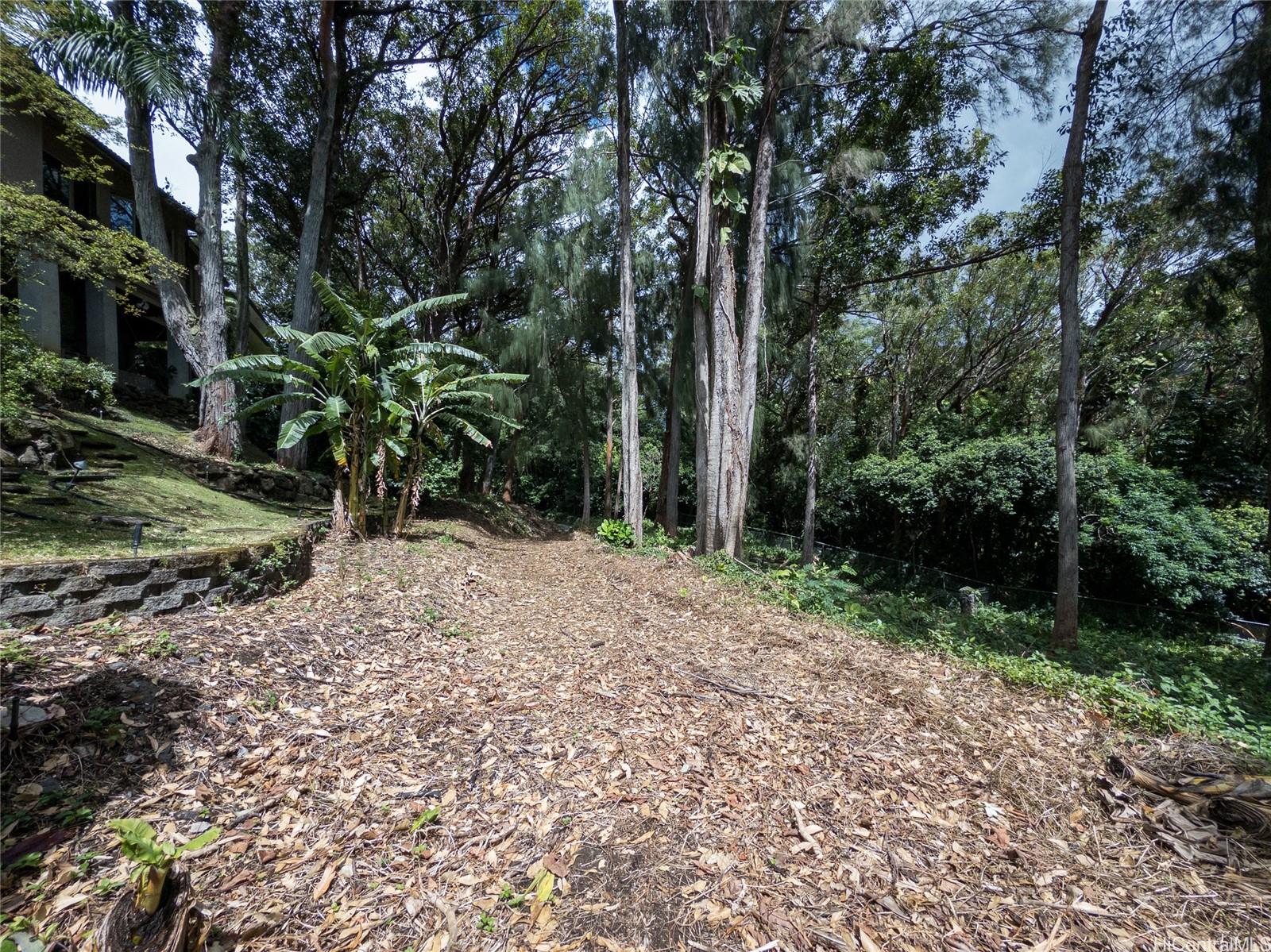 3890 Waokanaka St Lot 1 Honolulu, Hi vacant land for sale - photo 9 of 14