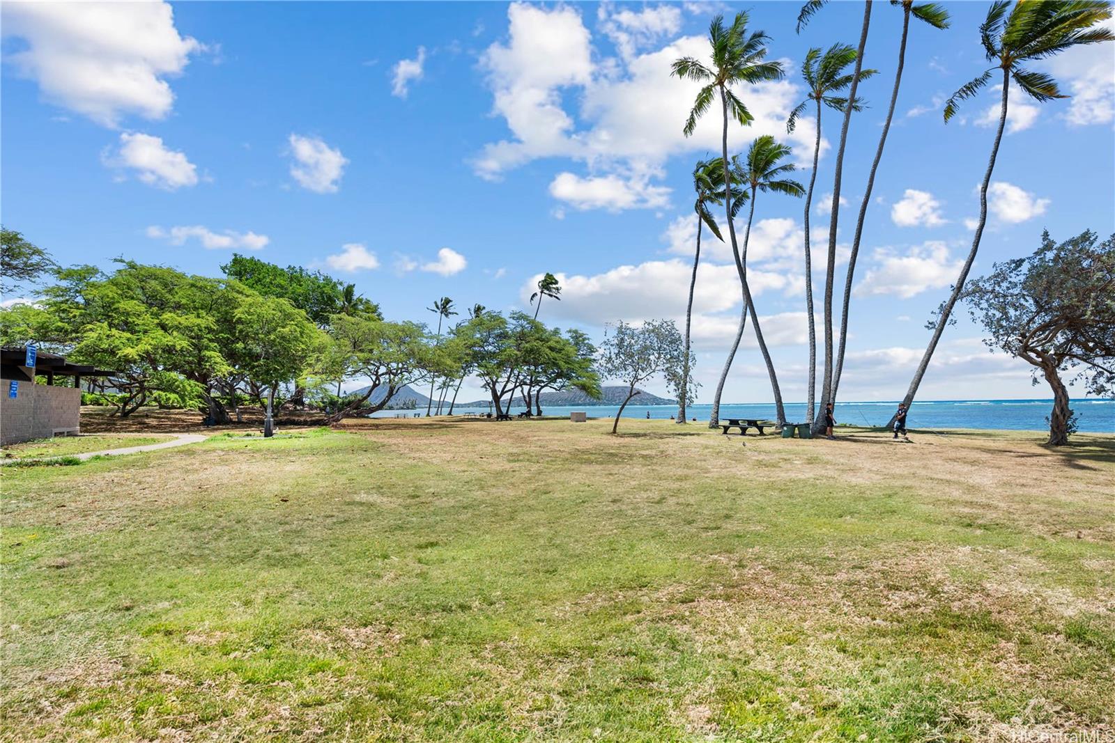 393  Hind Drive Aina Haina Area, Diamond Head home - photo 22 of 23