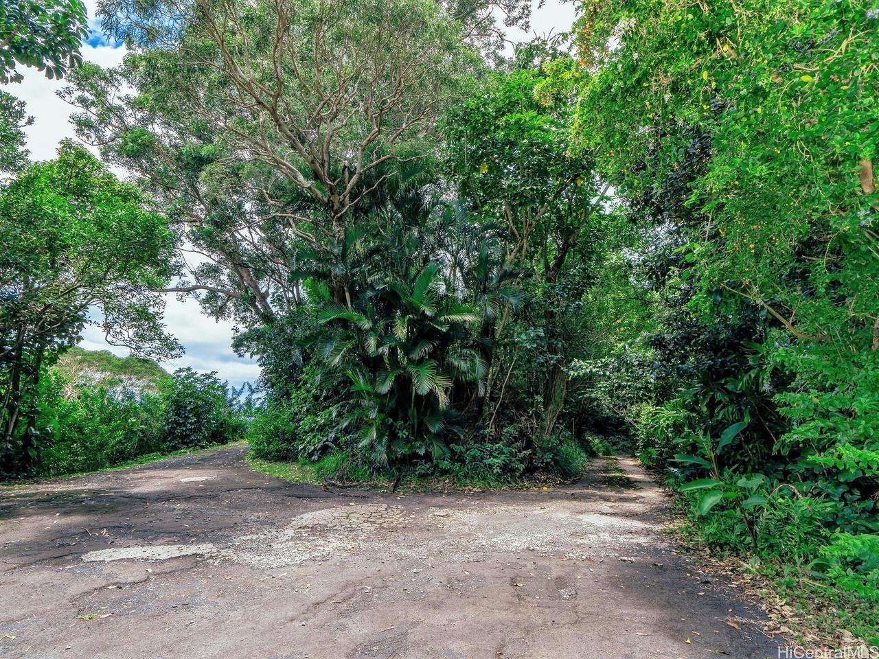 3953 Round Top Drive  Honolulu, Hi vacant land for sale - photo 7 of 16