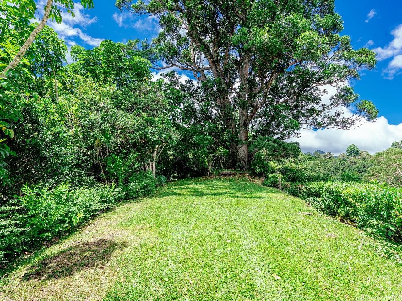 3953 Round Top Drive  Honolulu, Hi vacant land for sale - photo 3 of 16