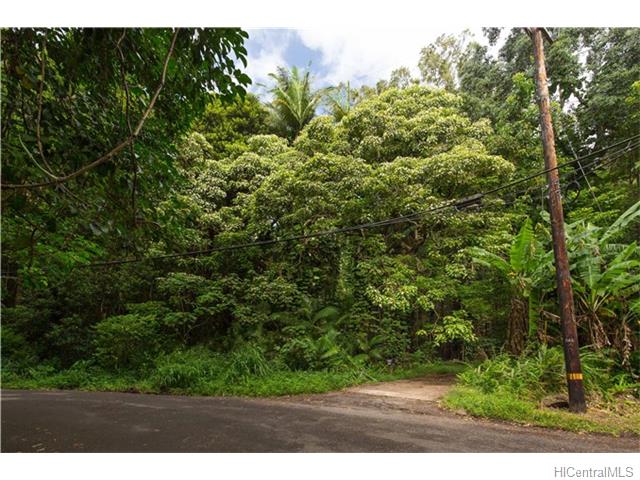 4007 Round Top Dr  Honolulu, Hi vacant land for sale - photo 6 of 7