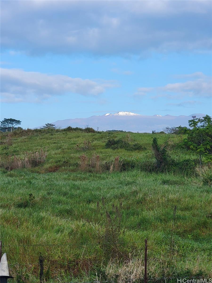 4051 Ahuanani Pl  Hilo, Hi vacant land for sale - photo 11 of 15