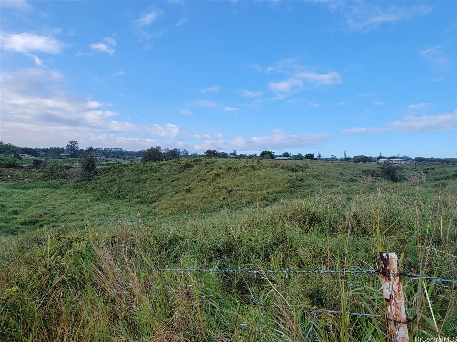 4051 Ahuanani Pl  Hilo, Hi vacant land for sale - photo 12 of 15