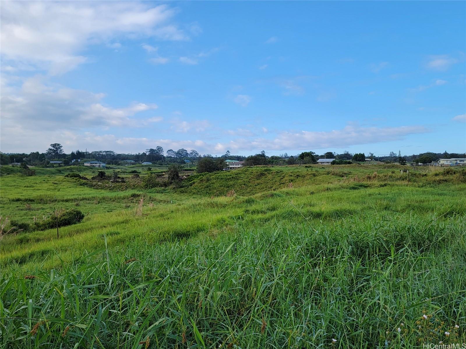 4051 Ahuanani Pl  Hilo, Hi vacant land for sale - photo 4 of 15