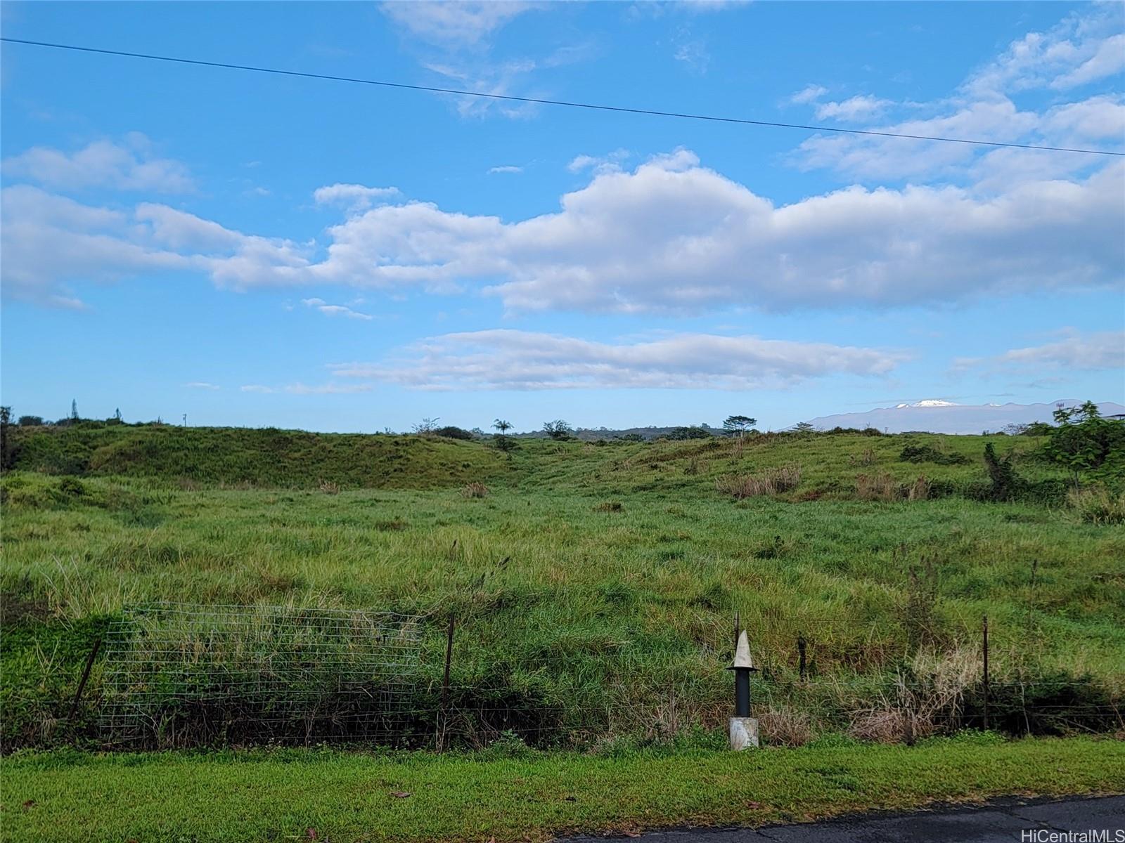 4051 Ahuanani Pl  Hilo, Hi vacant land for sale - photo 6 of 15