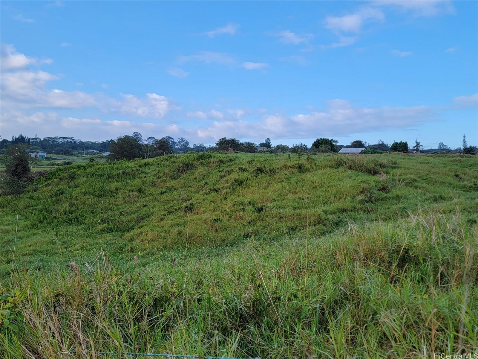 4051 Ahuanani Pl  Hilo, Hi vacant land for sale - photo 7 of 15