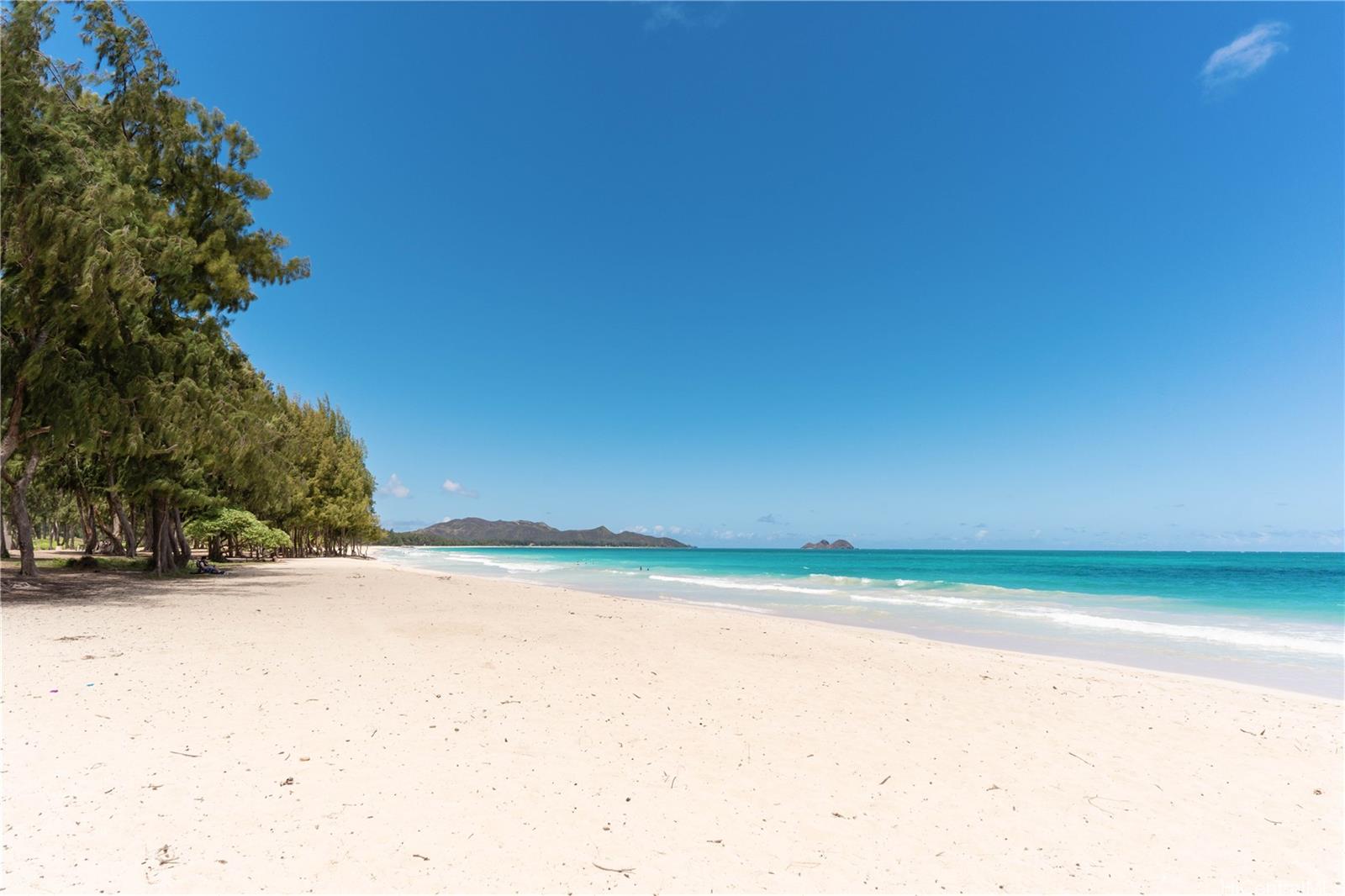 41-1025  Nenue Street Waimanalo, Kailua home - photo 24 of 25