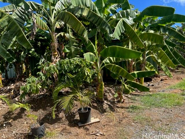 41-1687  Kalanianaole Hwy Waimanalo, Kailua home - photo 7 of 16