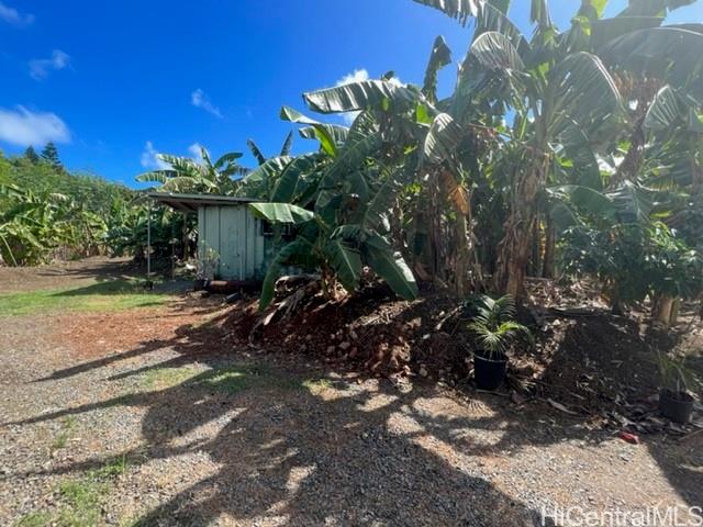 41-1687  Kalanianaole Hwy Waimanalo, Kailua home - photo 9 of 16