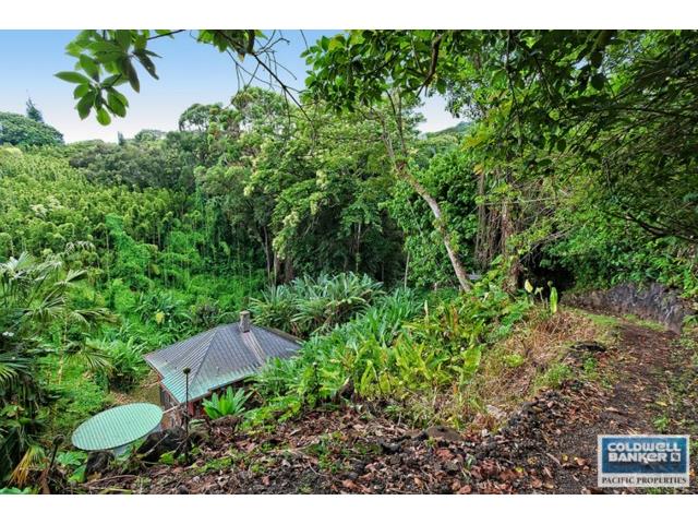 4126  Round Top Dr Tantalus, Honolulu home - photo 14 of 18