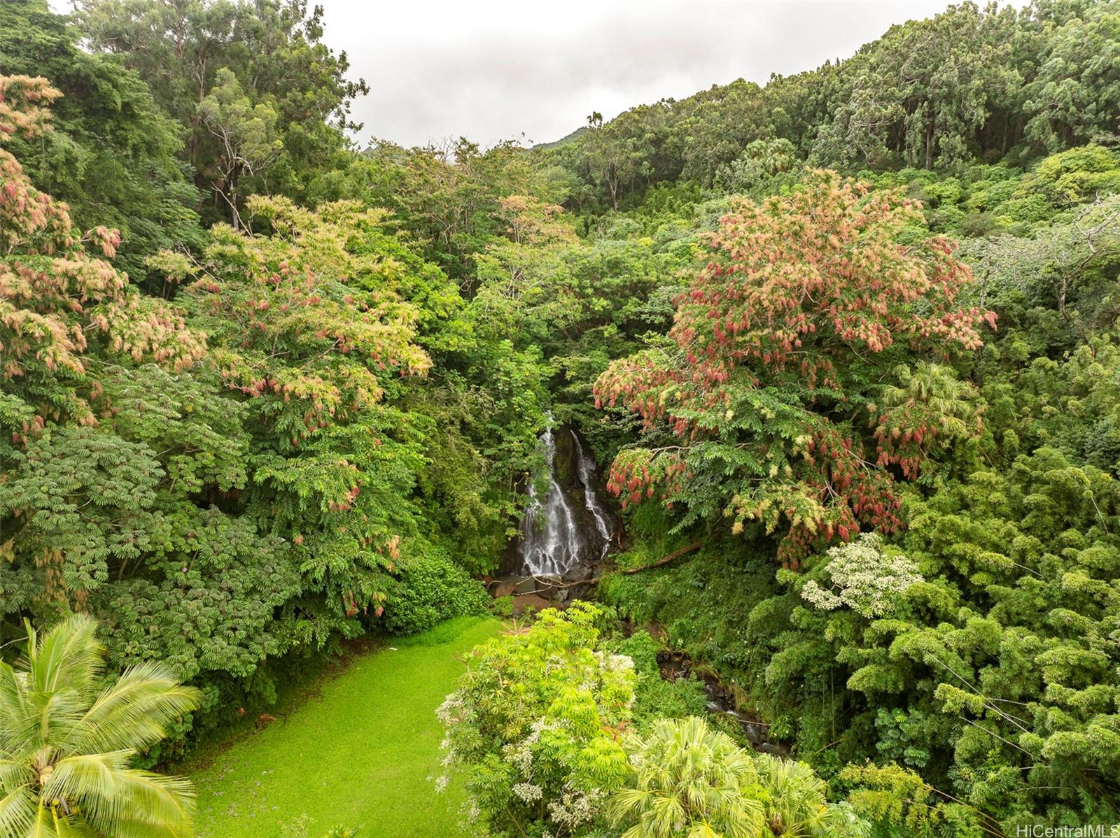 4151  Nuuanu Pali Drive Nuuanu Pali, Honolulu home - photo 25 of 25