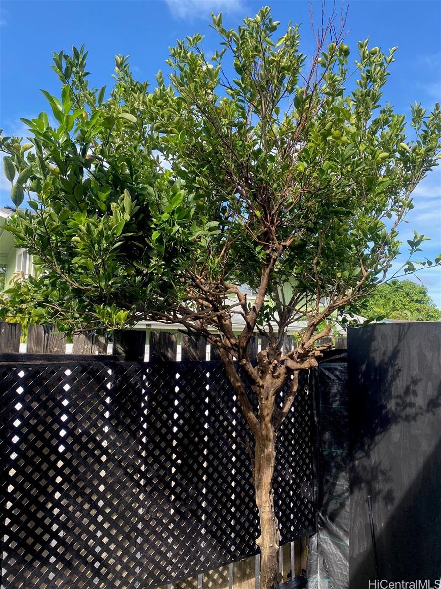 41-555  Hihimanu Street Waimanalo, Kailua home - photo 14 of 18