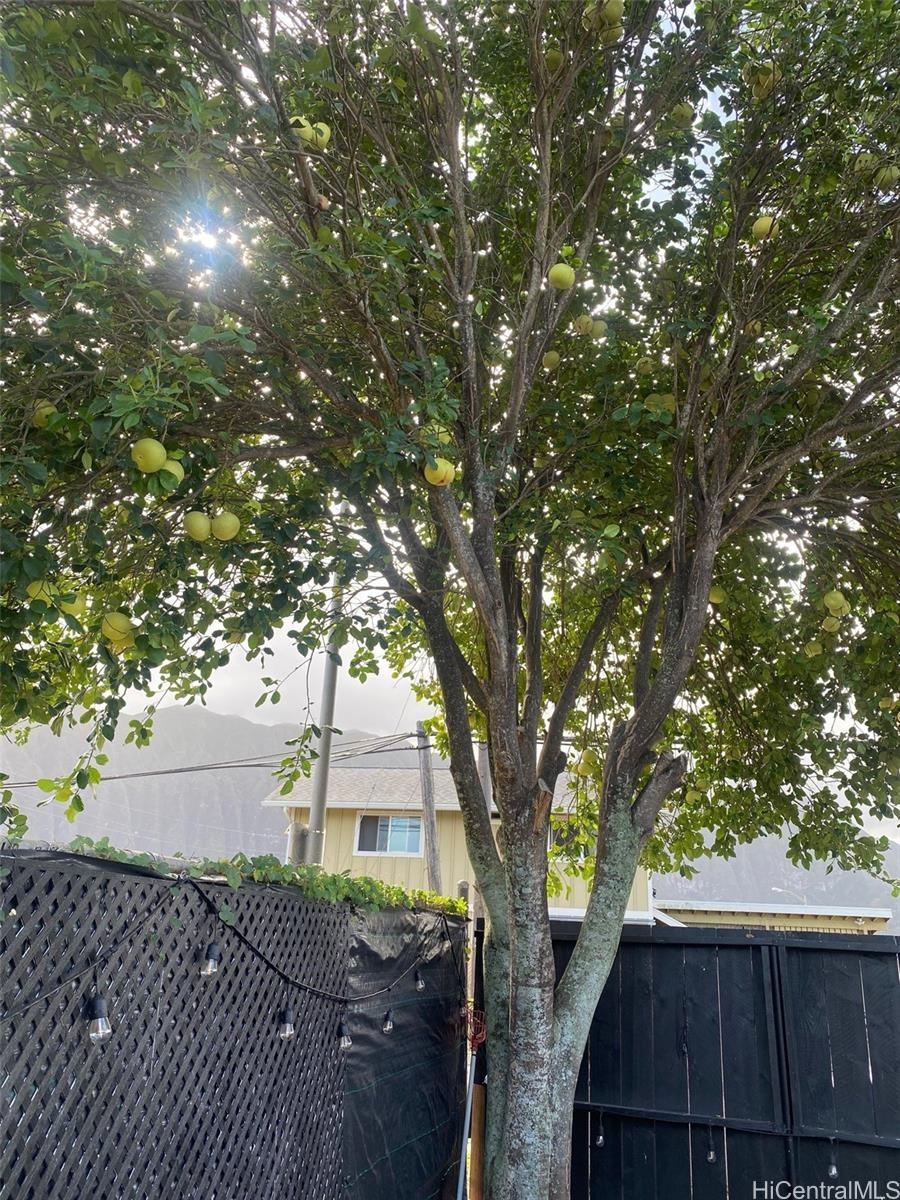 41-555  Hihimanu Street Waimanalo, Kailua home - photo 15 of 18