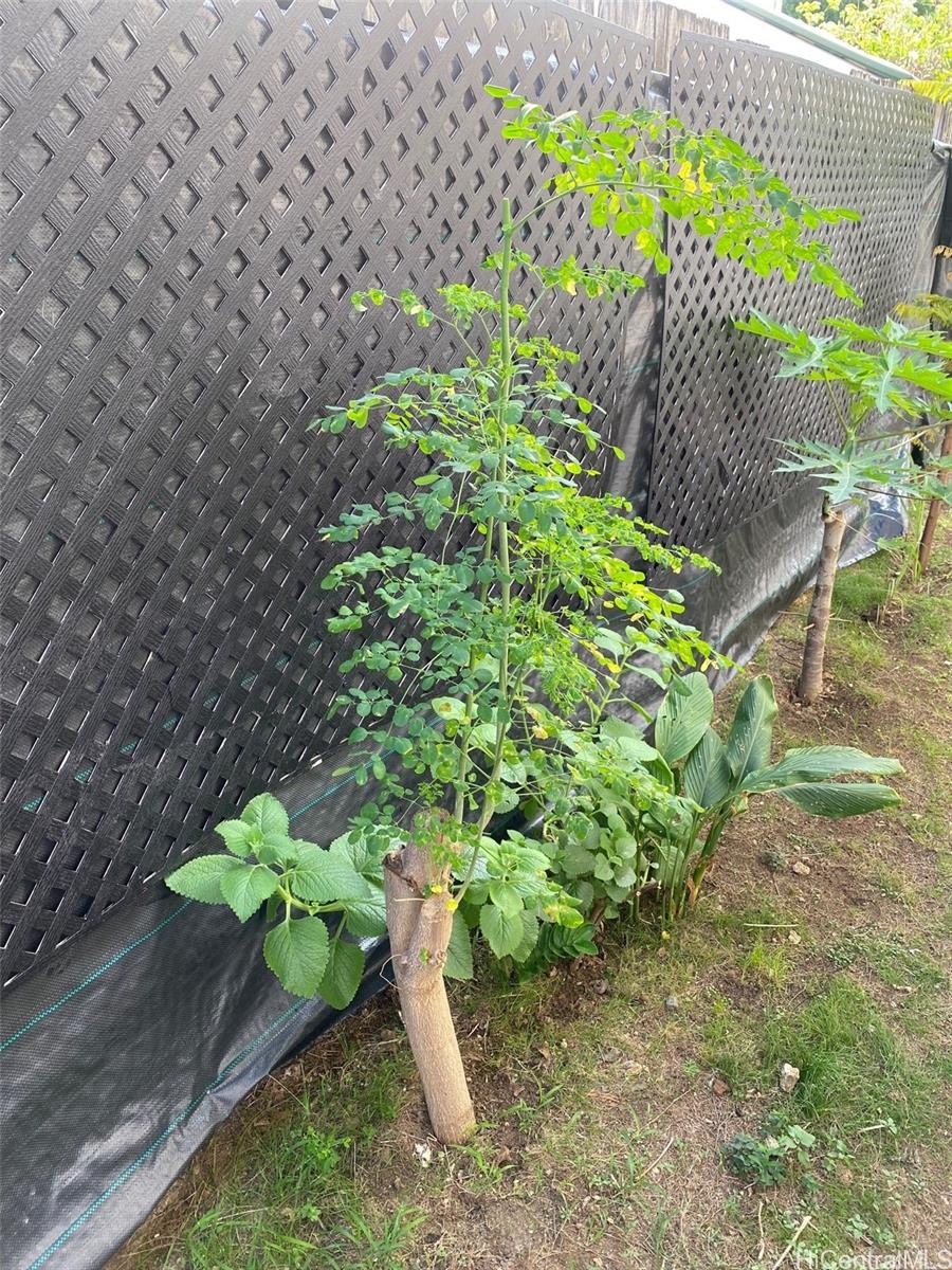 41-555  Hihimanu Street Waimanalo, Kailua home - photo 17 of 18