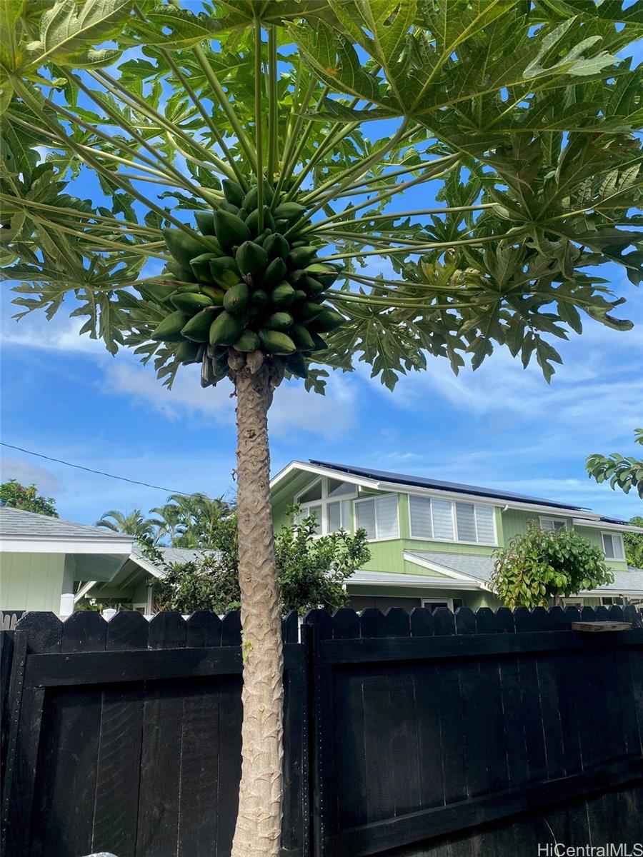 41-555  Hihimanu Street Waimanalo, Kailua home - photo 18 of 18