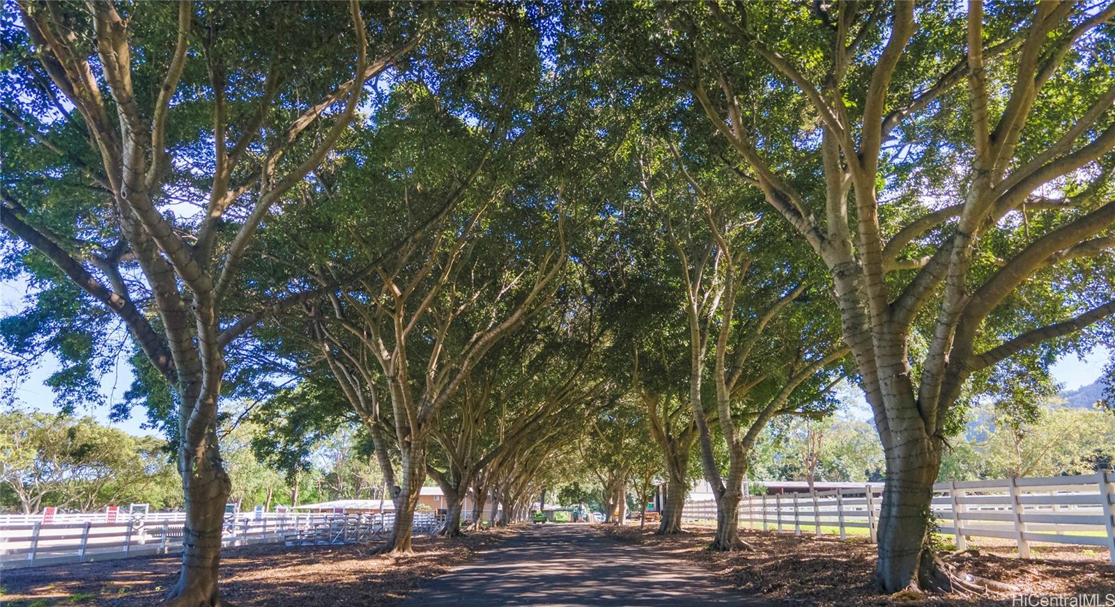 41-569  Makakalo St Waimanalo, Kailua home - photo 4 of 25