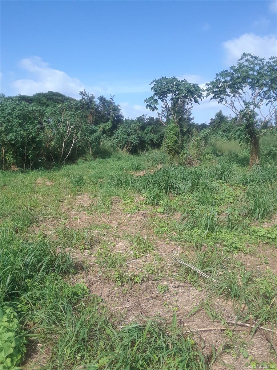41-670 Mokulama Street  Waimanalo, Hi vacant land for sale - photo 8 of 14