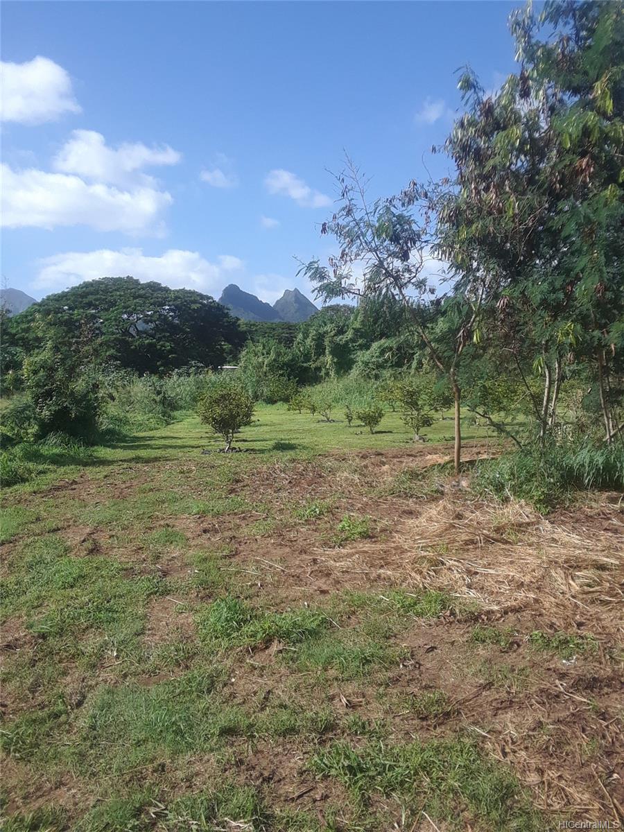 41-670 Mokulama Street  Waimanalo, Hi vacant land for sale - photo 10 of 14