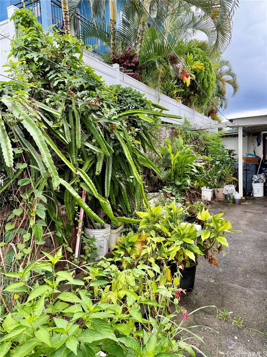 418  Dayton Lane Nuuanu-lower, Honolulu home - photo 17 of 19