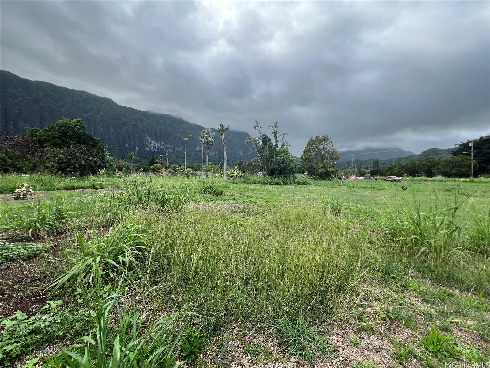 41-820 Kakaina Street  Waimanalo, Hi vacant land for sale - photo 10 of 17