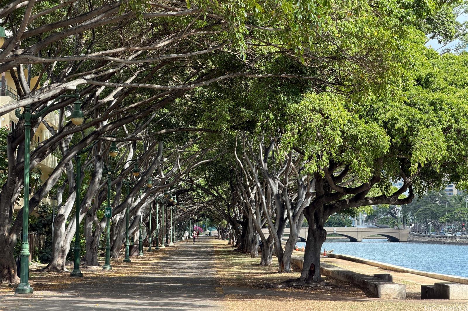 Atkinson Towers Inc condo # 1202, Honolulu, Hawaii - photo 18 of 19