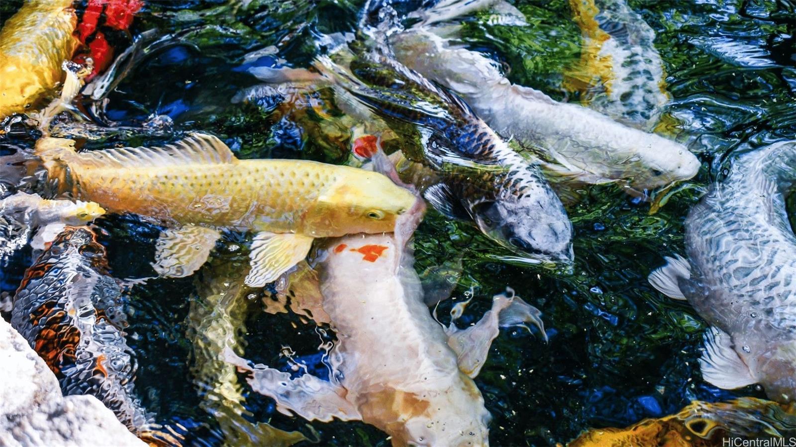 4240  Kaikoo Place Diamond Head, Diamond Head home - photo 9 of 25