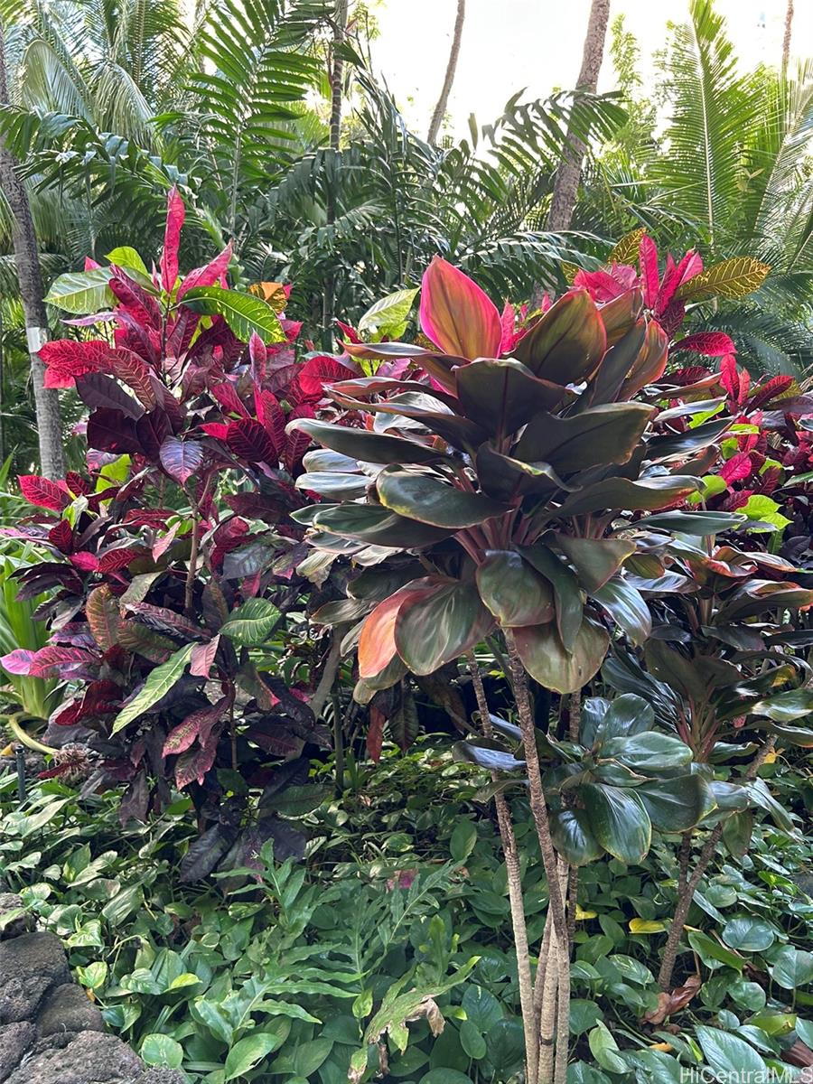 425 Ena Road Honolulu - Rental - photo 20 of 21